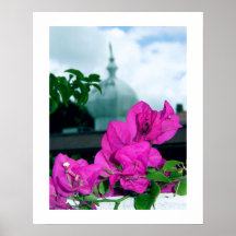Bougainvillea Posters