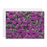 Bougainvillea wall flower  flowers personalized invite