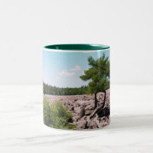 Boulder Field Coffee Mug