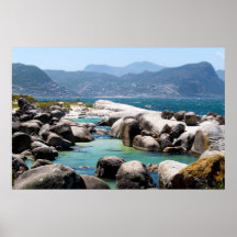 Boulders beach poster