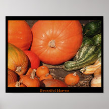  Bountiful Harvest Poster
