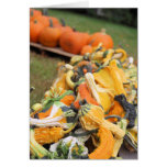 Bounty of Fall Card