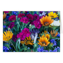 "Bouquet # 264" Carte De Vœux