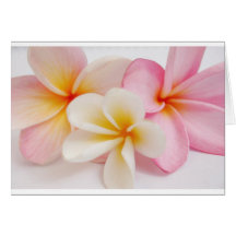 bouquet des frangipanis carte de vœux