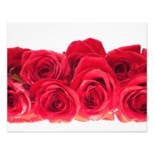 Bouquet of Bright Pink Roses Art Photo