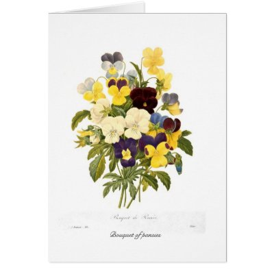 Bouquet of pansies greeting cards by Botany_Boy