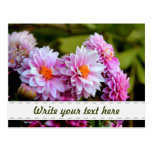 Bouquet of pink and purple flowers postcard