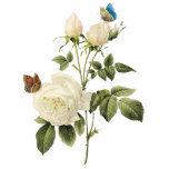 Bouquet of White Roses - Butterflies Sculpture Photo Cut Outs