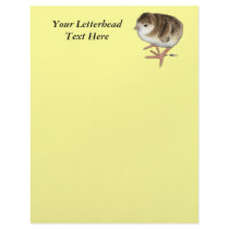 Bourbon Red Turkey Poult Custom Letterhead