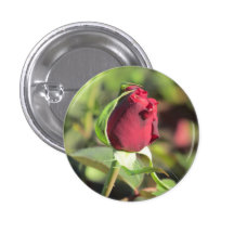 Bourgeon de rose rouge badge avec épingle