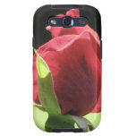 Bourgeon rose