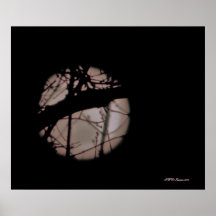Bourgeons magenta de lune affiches