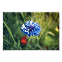 Bouton bleu impressions photographiques