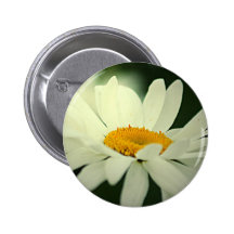 Bouton de marguerite badge