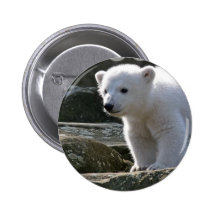 Bouton d'ours blanc de bébé badge avec épingle