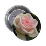Bouton floral avec le rose de rose badge avec épingle