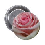 Bouton romantique de rose de rose badge