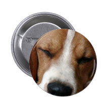 Bouton rond de beagle de sommeil badge
