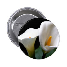 Bouton rond de fleur blanche de zantedeschia badge avec épingle