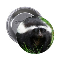 Bouton rond de photo de mouffette pin's