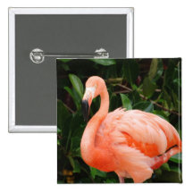 Bouton rose de flamant badges