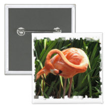 Bouton tropical de carré de flamant badge