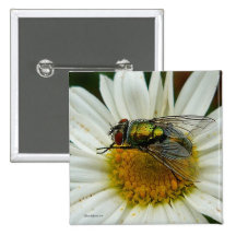 Bouton Zizzago de mouche Badge