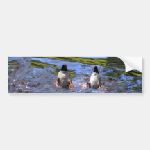 Bouts de canard autocollant pour voiture