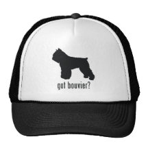 Bouvier Mesh Hats