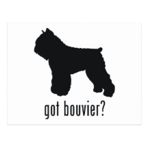 Bouvier Postcards