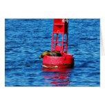 Bouy In San Diego Bay With A Seal On It Card