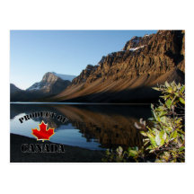 Bow Lake & Glacier Post Card