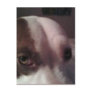 bowie post card