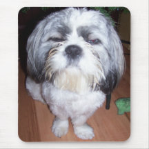 Bowie the Fuzzy Shih Tzu 2 Mousepad