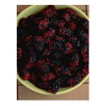 Bowl full of Blackberries Postcard