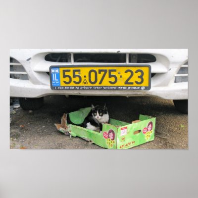Box Cat 1 Print by denajmiller