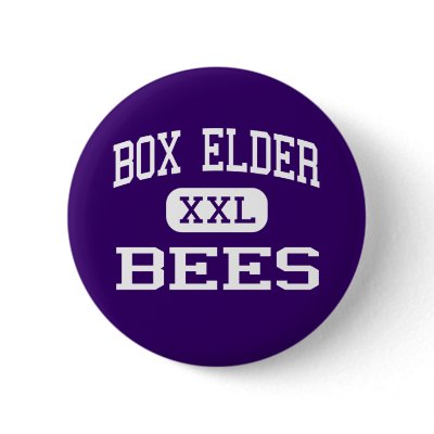 Box Elder - Bees - High School - Brigham City Utah Button by customteamsportswear