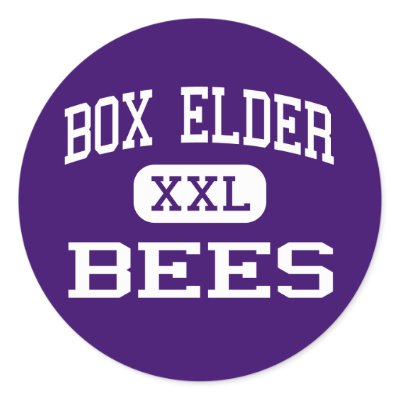 Box Elder - Bees - High School - Brigham City Utah Round Sticker by customteamsportswear