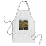 Box Elder leaves in Dawn light aprons