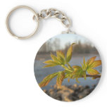 Box Elder leaves in Dawn light keychains