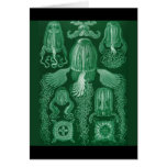Box Jellyfish Greeting Cards