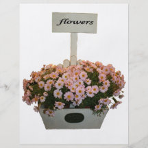 Box of daisies flyer