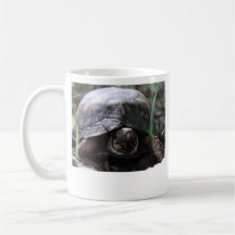 box turtle mug
