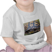 Box Turtle Tshirts