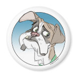 Boxer 1 magnets