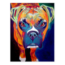 Boxer #1 postcards