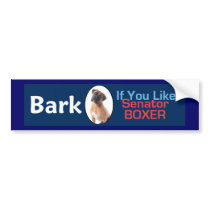 BOXER 2010 SenBumper Sticker bumper stickers