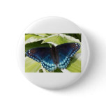 Boxer and Butterfly Button