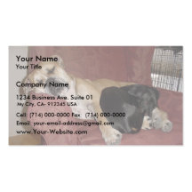 Boxer And Dachshund Asleep In A Chair Business Card Templates