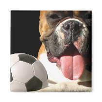 Boxer and Soccer ball magnet